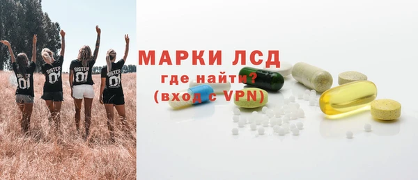 индика Туринск