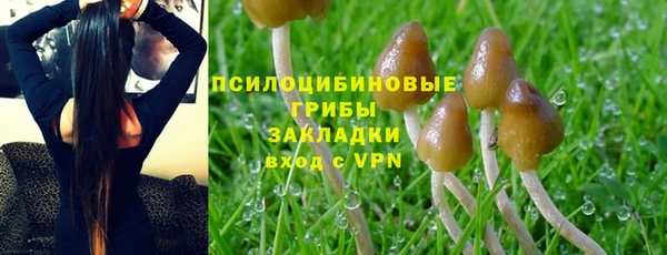 гашик Наволоки