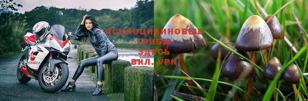 гашик Наволоки