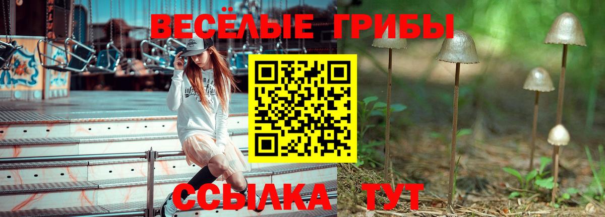 купить   Галлюциногенные грибы Psilocybine cubensis  Вход с VPN  Зеленогорск 